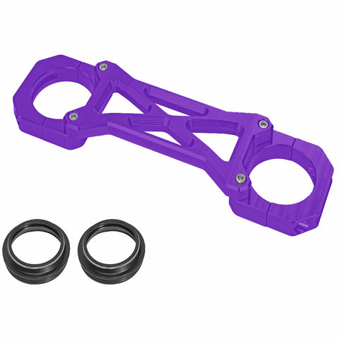 Touring Fork Brace