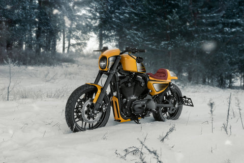 Nummernschildhalter V-Rod, Dyna, Sportster