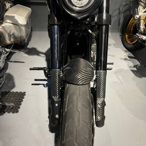 Carbon-Kotflügel vorne für Harley Davidson FXLRS 2020-2025